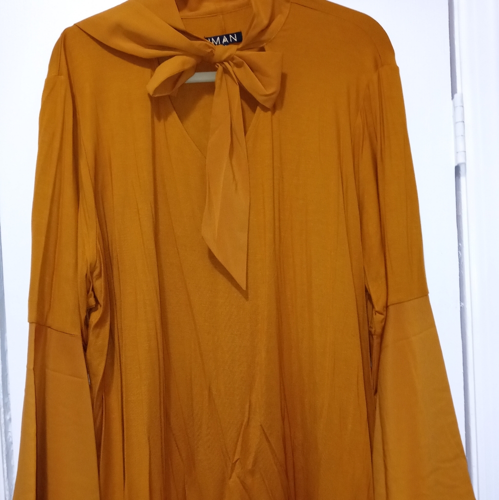 Sheer Long Sleeve Blouse